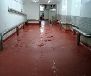 Solo Pisos - PU CIM Saturado